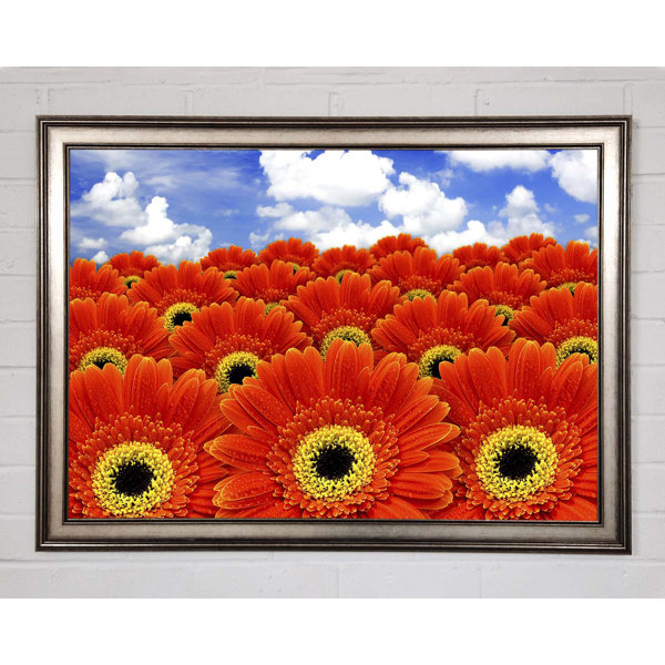 Ebern Designs Orange Gerbera Heaven Einzelner Bilderrahmen